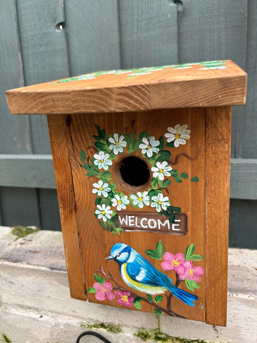 Blue Tit Bird Box